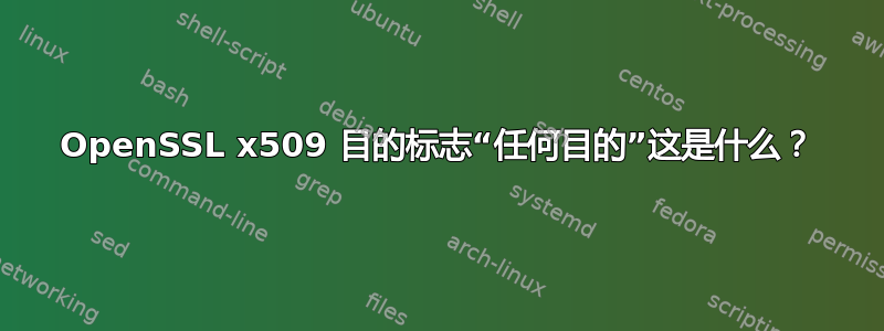 OpenSSL x509 目的标志“任何目的”这是什么？