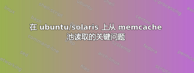 在 ubuntu/solaris 上从 memcache 池读取的关键问题