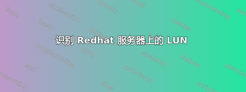 识别 Redhat 服务器上的 LUN