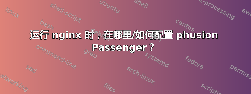 运行 nginx 时，在哪里/如何配置 phusion Passenger？