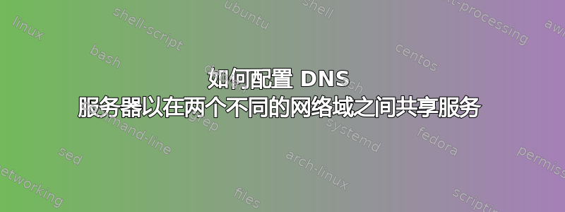 如何配置 DNS 服务器以在两个不同的网络域之间共享服务