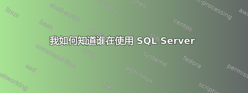 我如何知道谁在使用 SQL Server