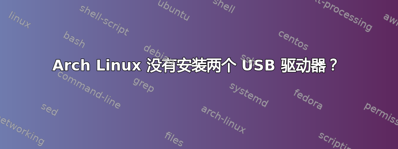 Arch Linux 没有安装两个 USB 驱动器？