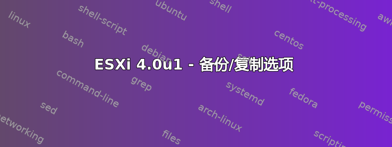 ESXi 4.0u1 - 备份/复制选项