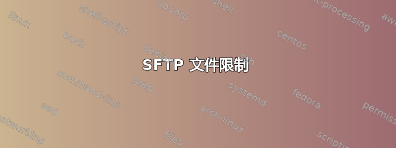 SFTP 文件限制