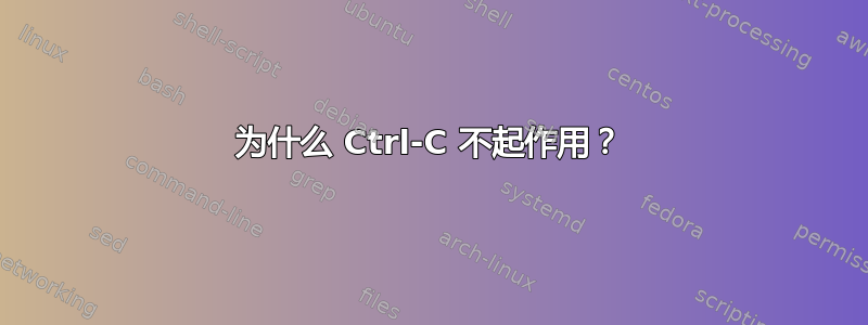 为什么 Ctrl-C 不起作用？