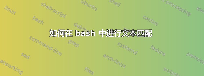 如何在 bash 中进行文本匹配