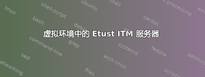 虚拟环境中的 Etust ITM 服务器