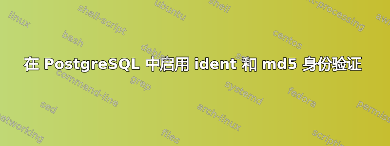 在 PostgreSQL 中启用 ident 和 md5 身份验证