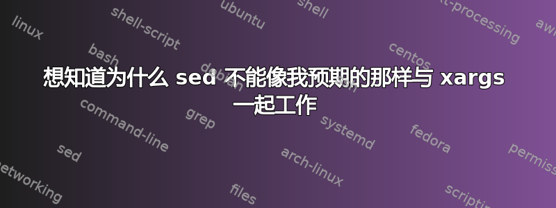 想知道为什么 sed 不能像我预期的那样与 xargs 一起工作