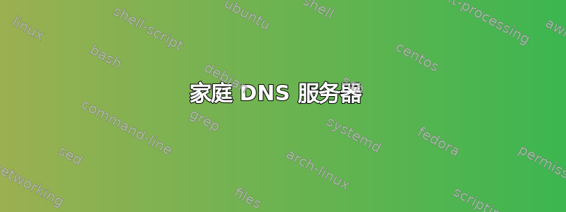 家庭 DNS 服务器 