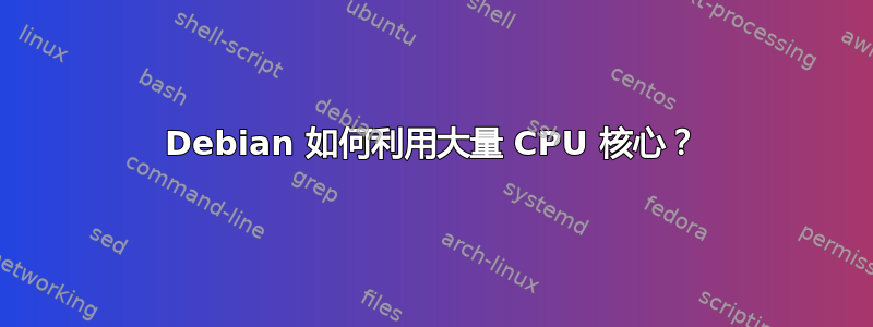 Debian 如何利用大量 CPU 核心？