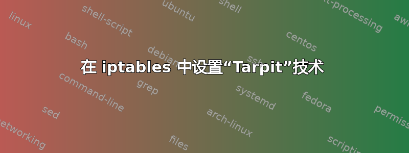 在 iptables 中设置“Tarpit”技术