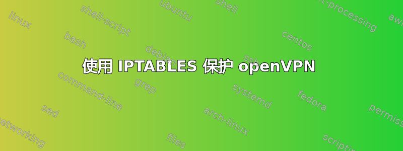 使用 IPTABLES 保护 openVPN