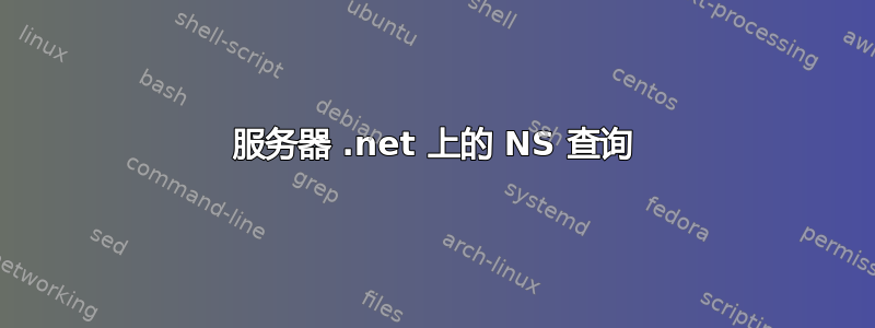 服务器 .net 上的 NS 查询