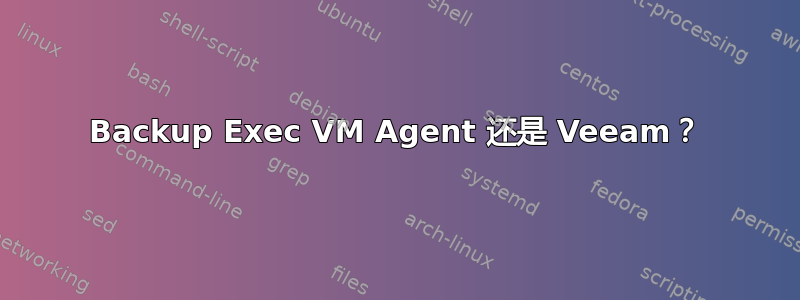 Backup Exec VM Agent 还是 Veeam？