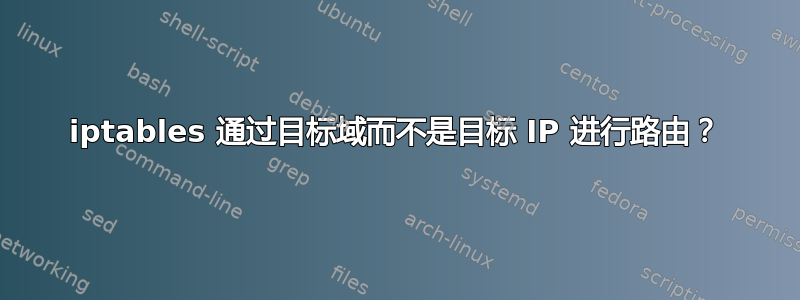 iptables 通过目标域而不是目标 IP 进行路由？