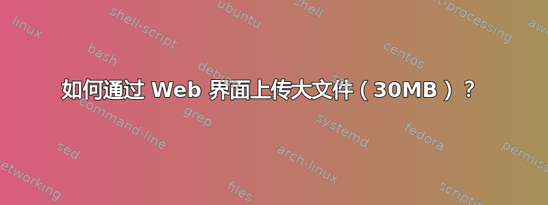 如何通过 Web 界面上传大文件（30MB）？