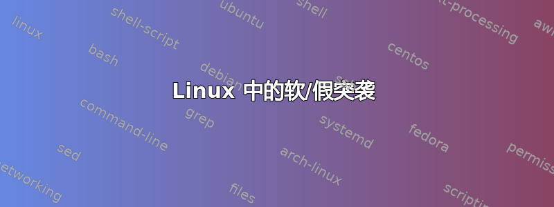 Linux 中的软/假突袭