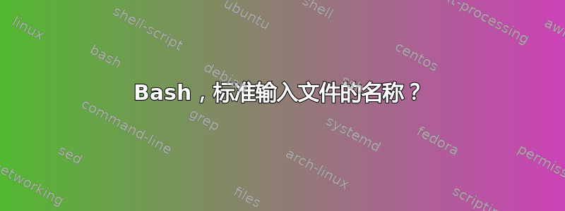 Bash，标准输入文件的名称？