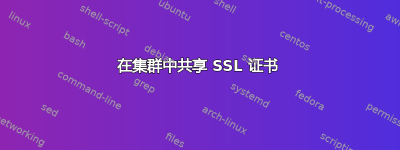 在集群中共享 SSL 证书