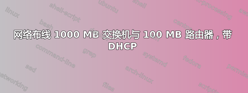 网络布线 1000 MB 交换机与 100 MB 路由器，带 DHCP