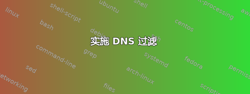 实施 DNS 过滤