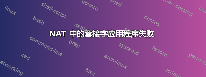 NAT 中的套接字应用程序失败