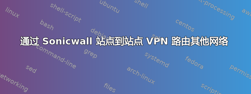 通过 Sonicwall 站点到站点 VPN 路由其他网络