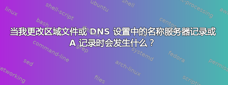 当我更改区域文件或 DNS 设置中的名称服务器记录或 A 记录时会发生什么？