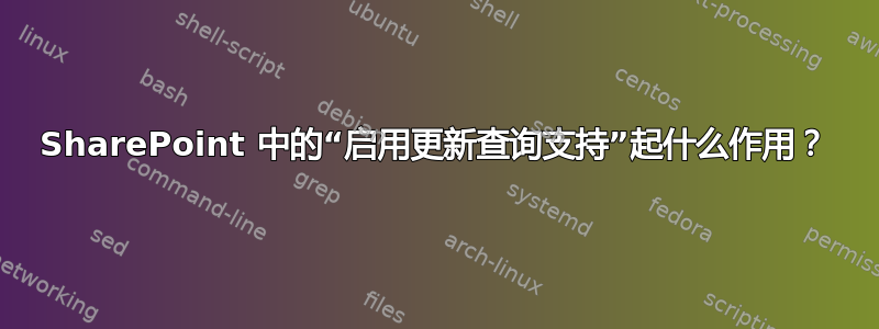 SharePoint 中的“启用更新查询支持”起什么作用？