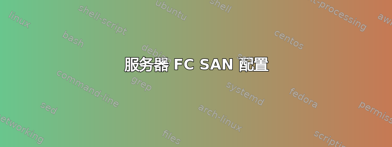 2 服务器 FC SAN 配置