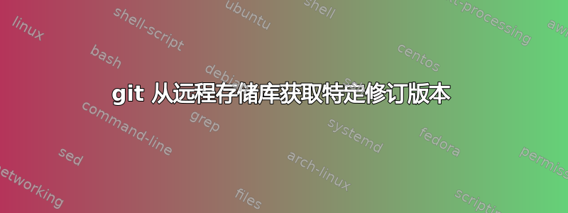git 从远程存储库获取特定修订版本