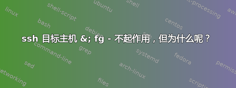 ssh 目标主机 &; fg - 不起作用，但为什么呢？