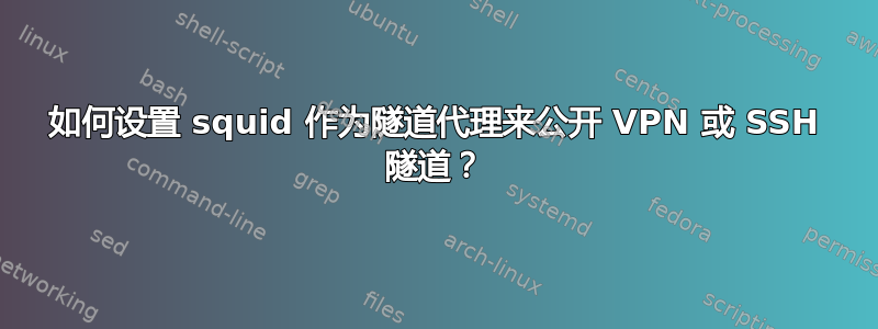 如何设置 squid 作为隧道代理来公开 VPN 或 SSH 隧道？