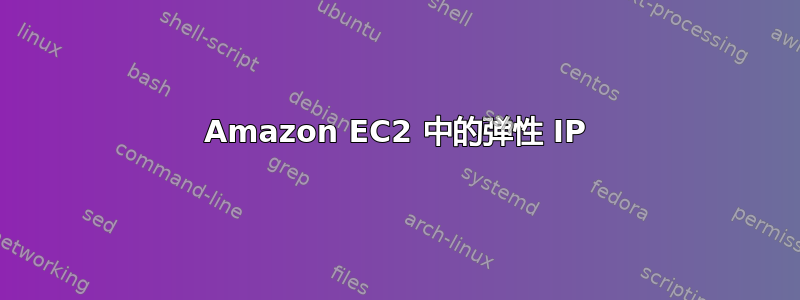 Amazon EC2 中的弹性 IP