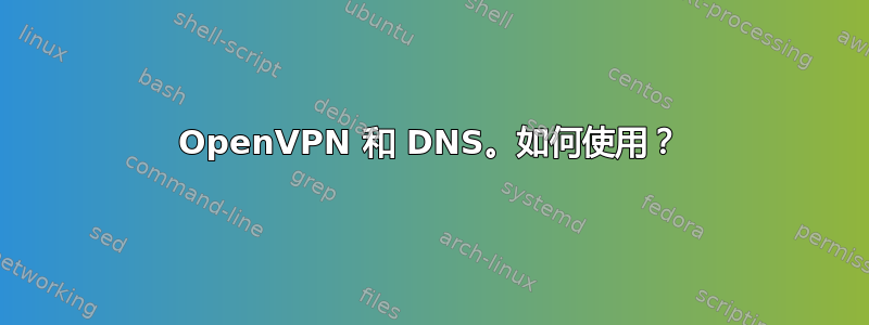 OpenVPN 和 DNS。如何使用？