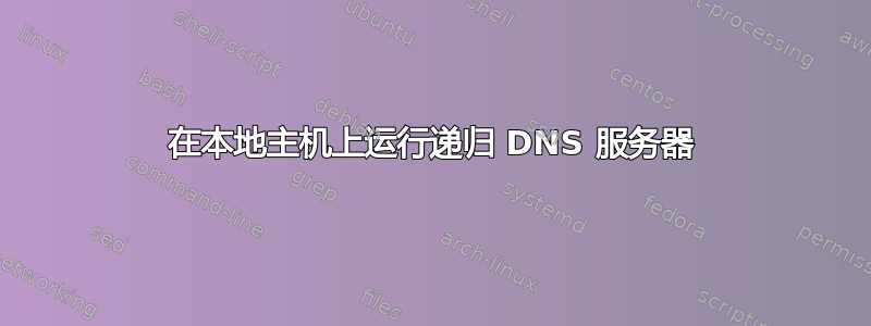 在本地主机上运行递归 DNS 服务器