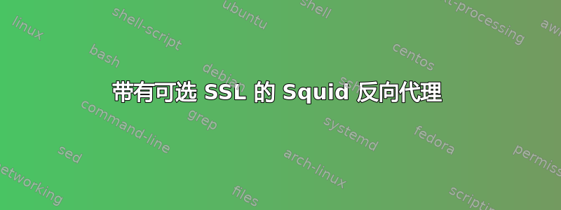 带有可选 SSL 的 Squid 反向代理