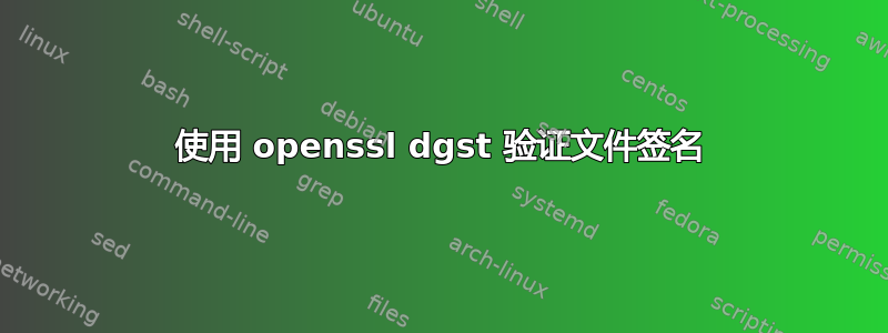 使用 openssl dgst 验证文件签名