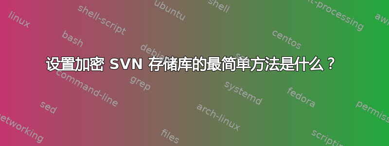 设置加密 SVN 存储库的最简单方法是什么？