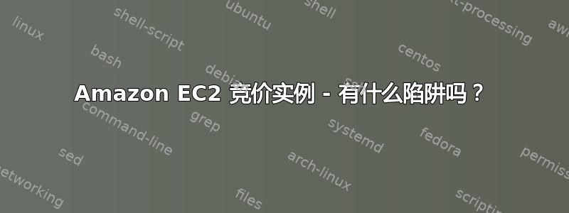 Amazon EC2 竞价实例 - 有什么陷阱吗？