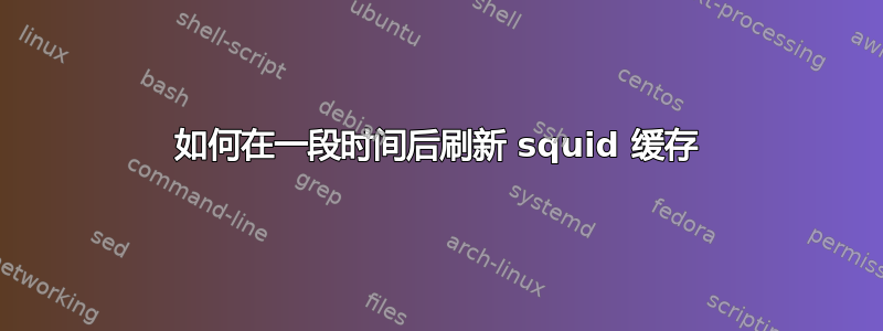 如何在一段时间后刷新 squid 缓存