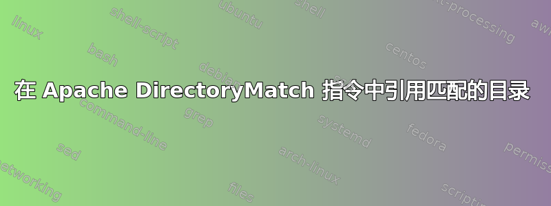 在 Apache DirectoryMatch 指令中引用匹配的目录