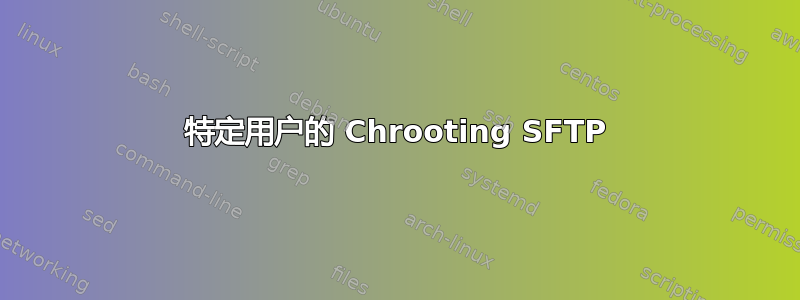 特定用户的 Chrooting SFTP