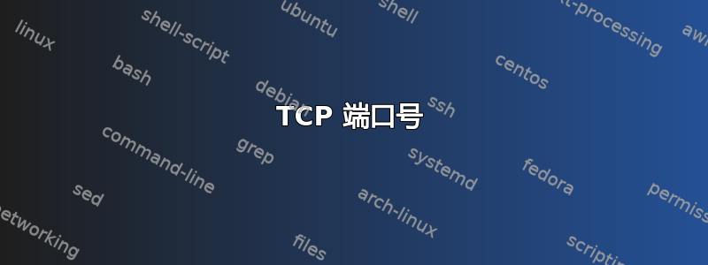 TCP 端口号