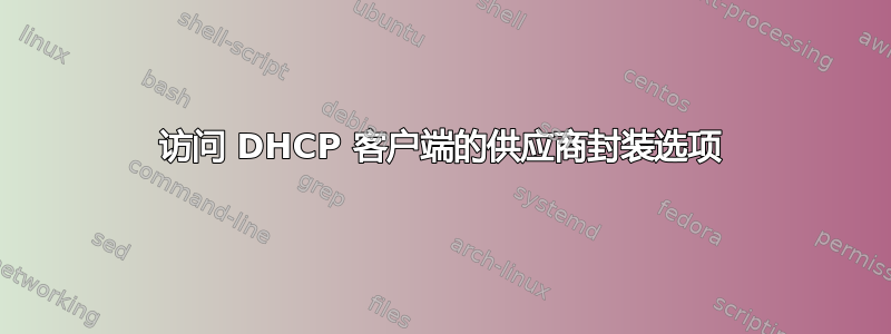 访问 DHCP 客户端的供应商封装选项