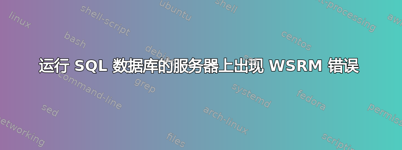 运行 SQL 数据库的服务器上出现 WSRM 错误