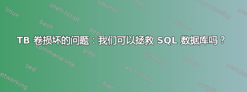 1TB 卷损坏的问题：我们可以拯救 SQL 数据库吗？