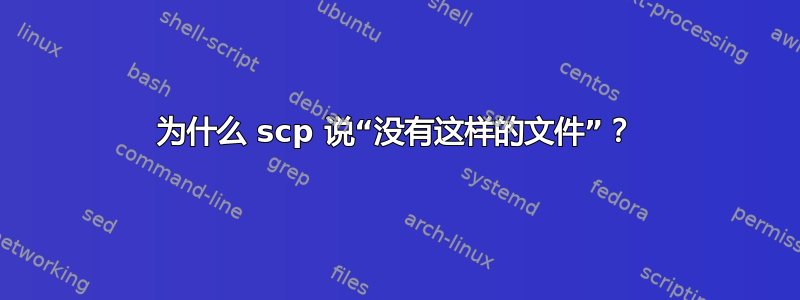 为什么 scp 说“没有这样的文件”？